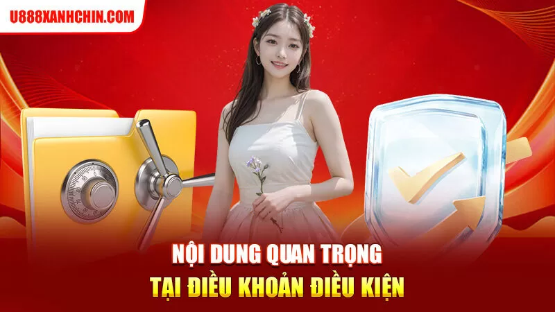 Nội dung quan trọng tại điều khoản điều kiện