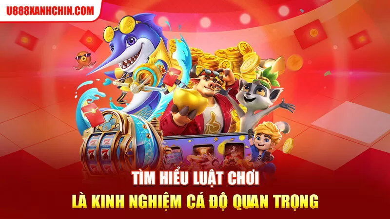 Tìm hiểu luật chơi là kinh nghiệm cá độ quan trọng