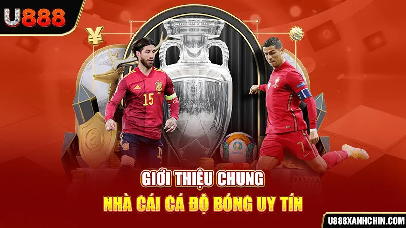 Top Nhà Cái Cá Độ Bóng Uy Tín Nhất Thị Trường Việt Nam